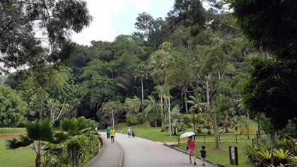 Penang Botanical Gardens
