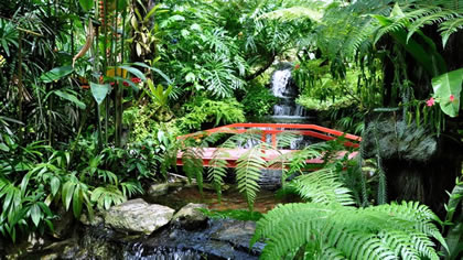 Penang Butterfly Farm