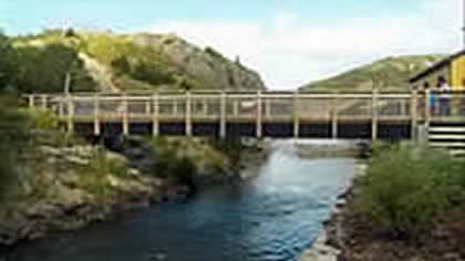 The Locals Call it Kiddy Viddy