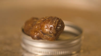 Sourtoe Cocktail