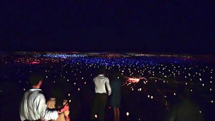 Wintjiri Wiru and Field of Light