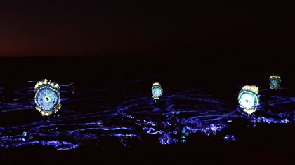 Uluru Light Trail Sunrise Journeys