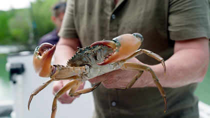 Fishing/Hunter River
