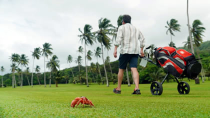 Teeing Off In Paradise